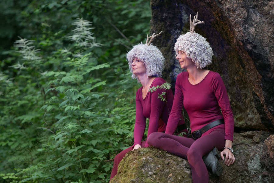 2015_Sommernachtsraum (3).jpg